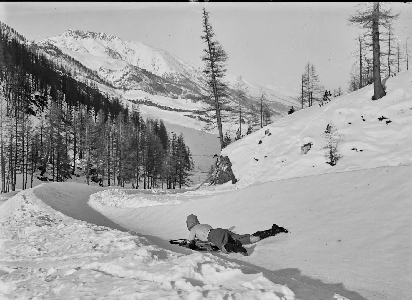 A rider headfirst on a sled turning into the straight of the snow-banked Cresta Run, around 1906